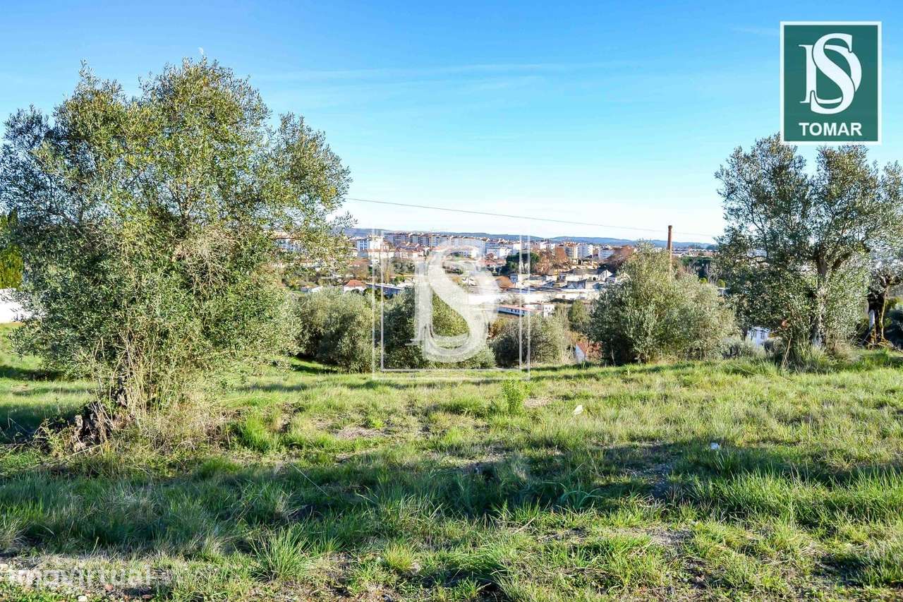 Terreno em UDF de Tomar (São João Baptista) e Santa Maria dos Olivais - Grande imagem: 3/21