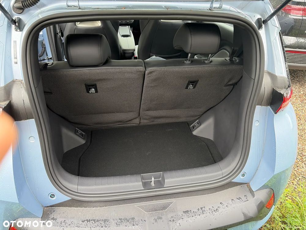 BYD Dolphin Surf - 12