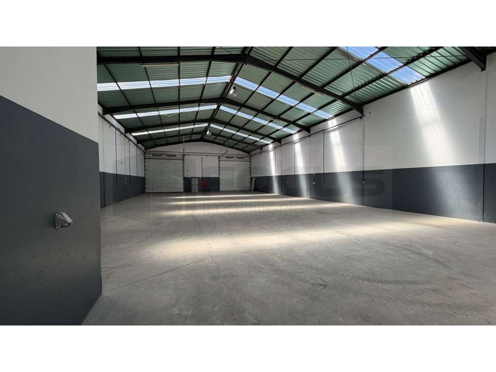 Armazém / Pavilhão para arrendamento - Albergaria -a Velha - Grande imagem: 2/16