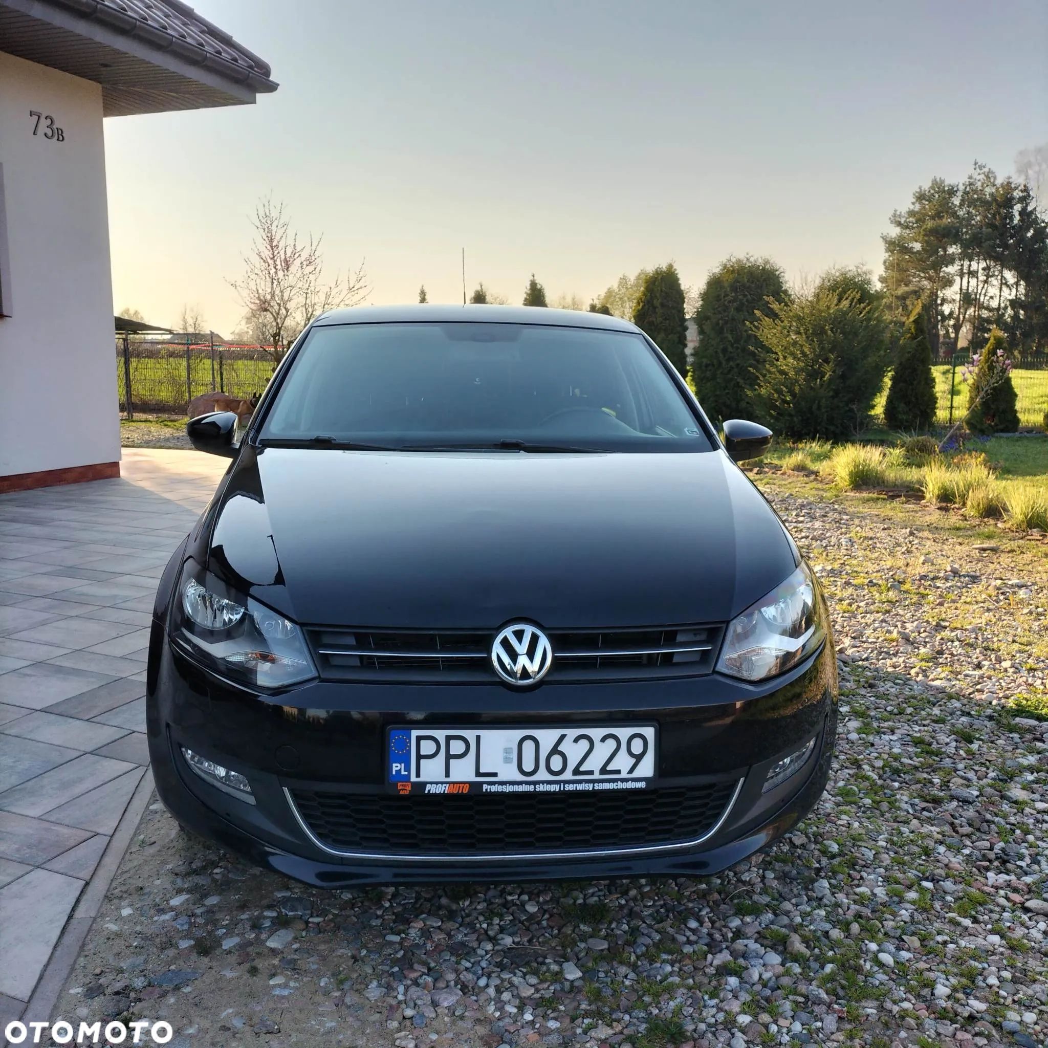 Volkswagen Polo - 1