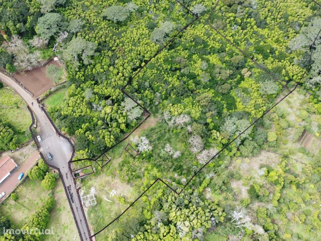 10.567 m² na Rua da Bragada, Santo António Projeto com Identidade n... - Grande imagem: 4/10