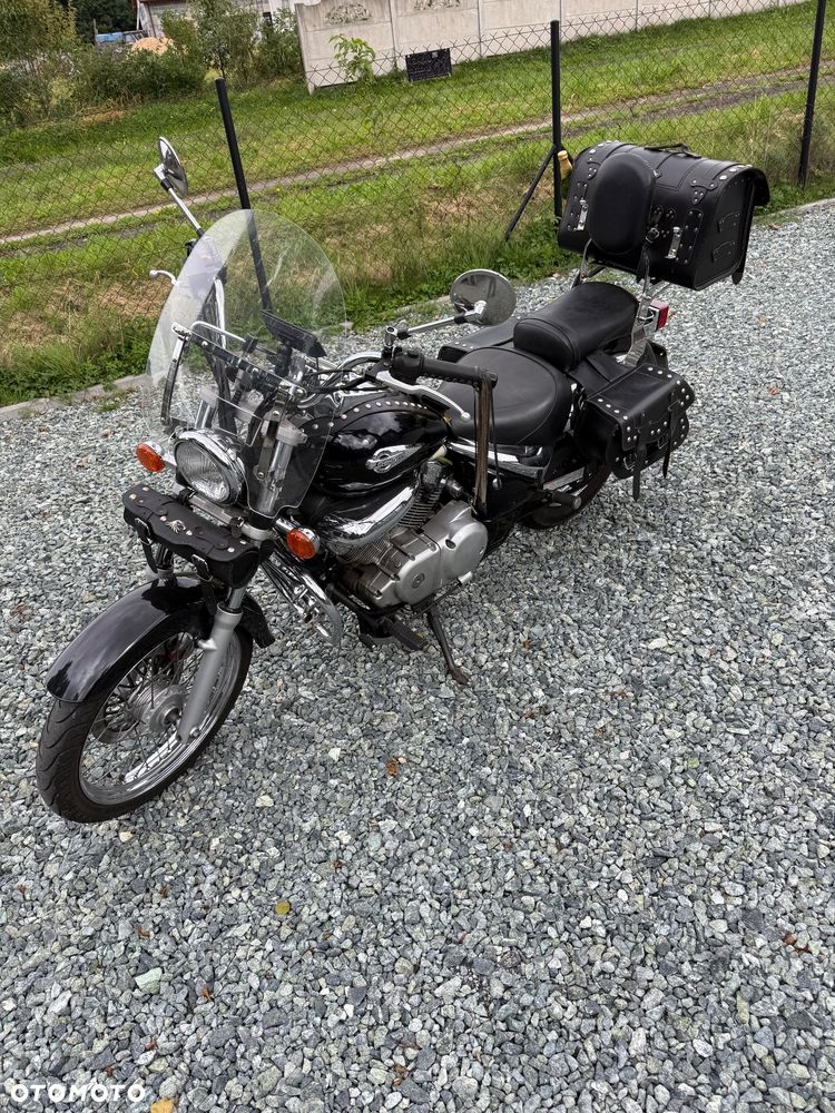 Suzuki Intruder - 5