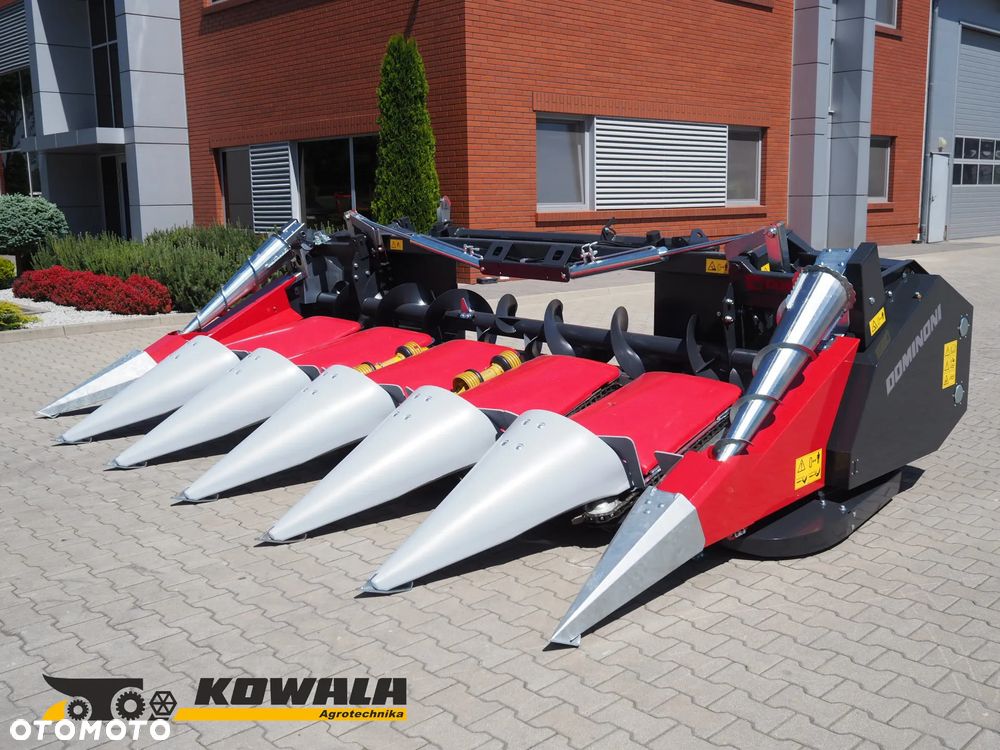 Dominoni SL 976 BG KAIMAN - 2