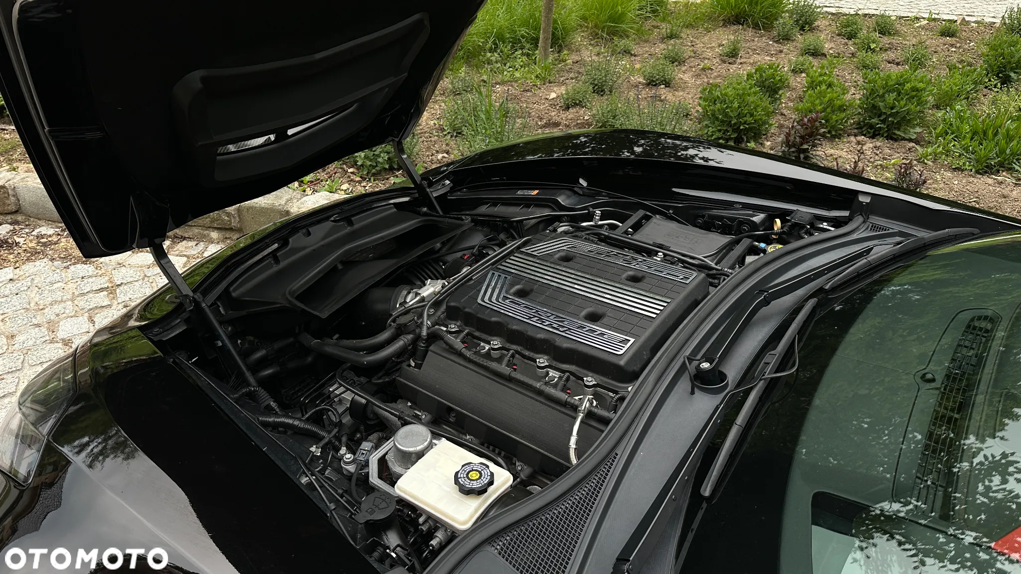 Chevrolet Corvette - 31