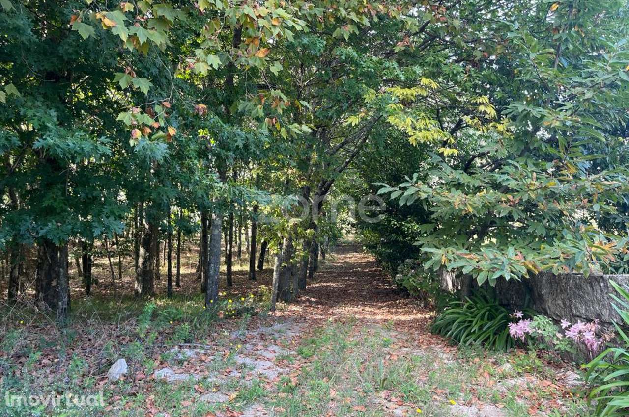 Terreno com 10 000M2 em, Sanfins, Paços de Ferreira - Grande imagem: 5/25