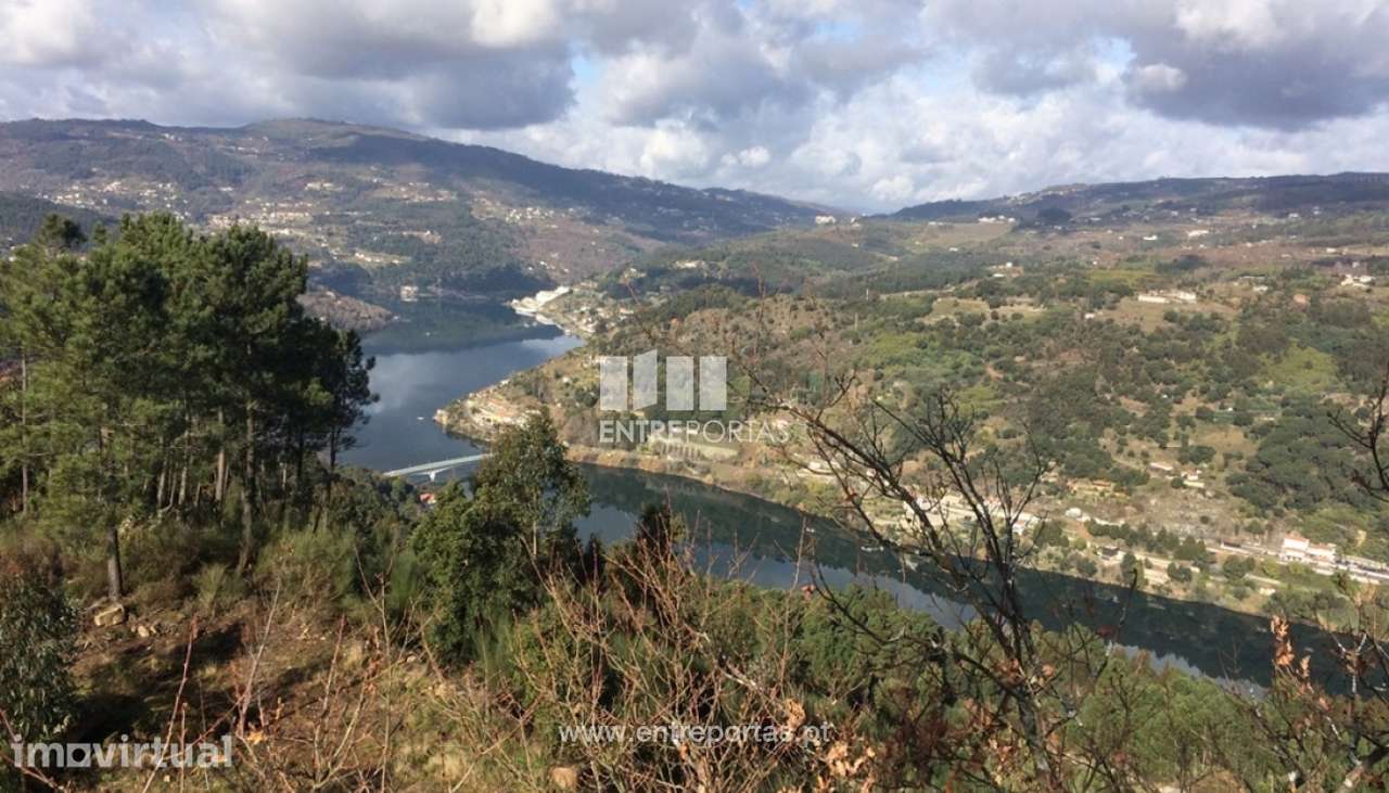 Venda Terreno, Oliveira do Douro, Cinfães - Grande imagem: 2/26