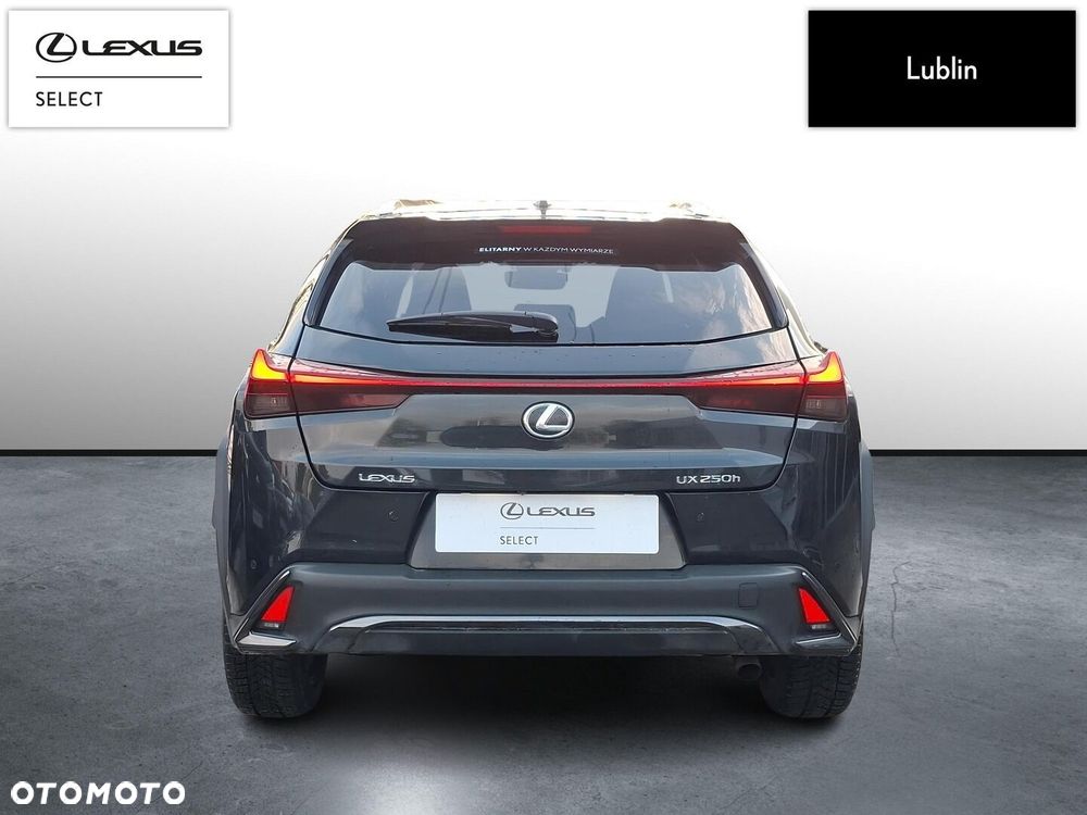 Lexus UX 250h GPF F Sport Design 2WD - 4