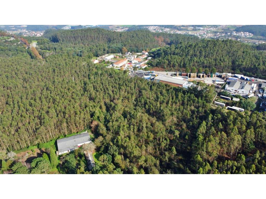 Terreno Industrial em Guilhabreu - Grande imagem: 4/6