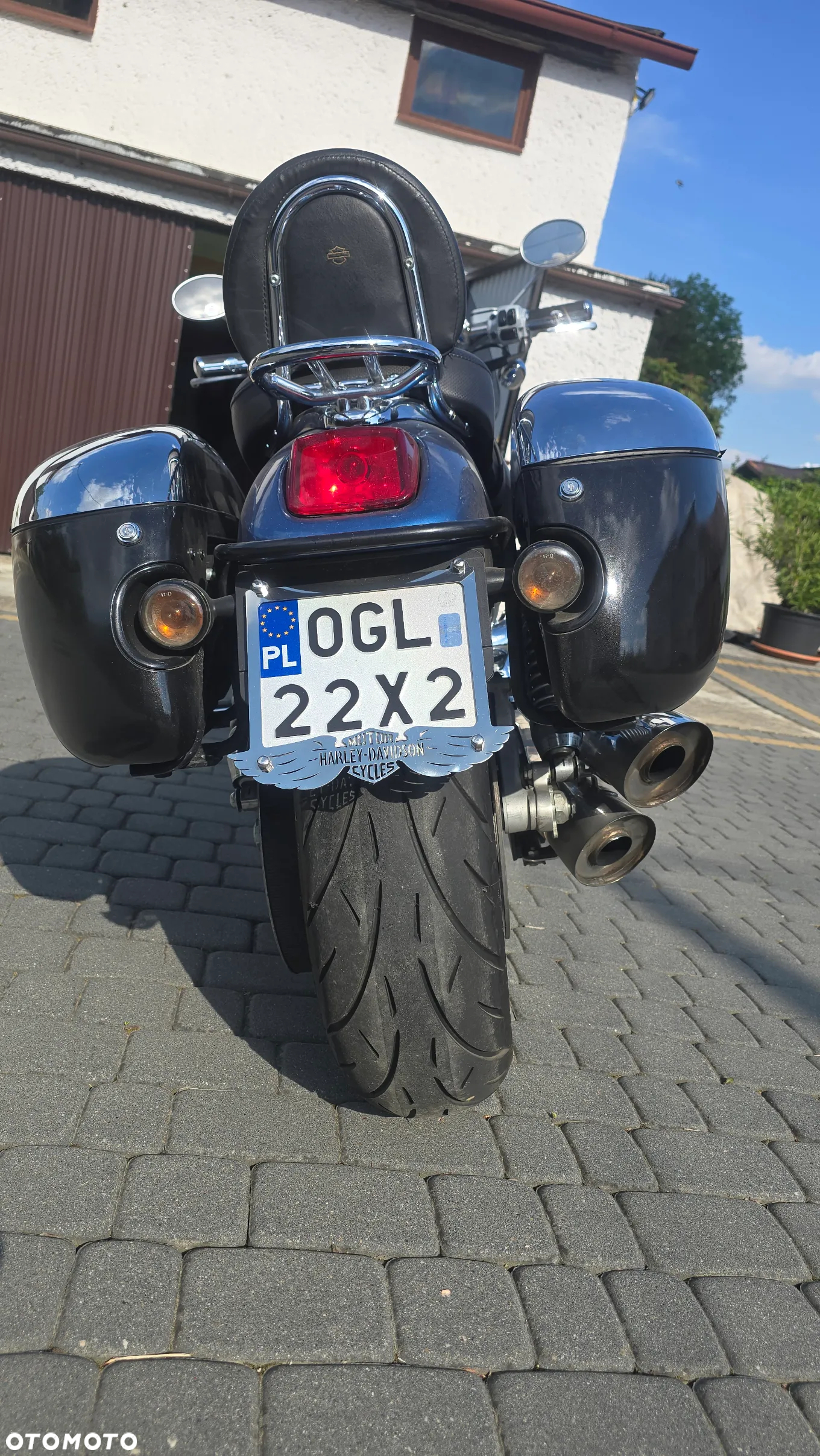 Harley-Davidson Softail V-Rod - 4