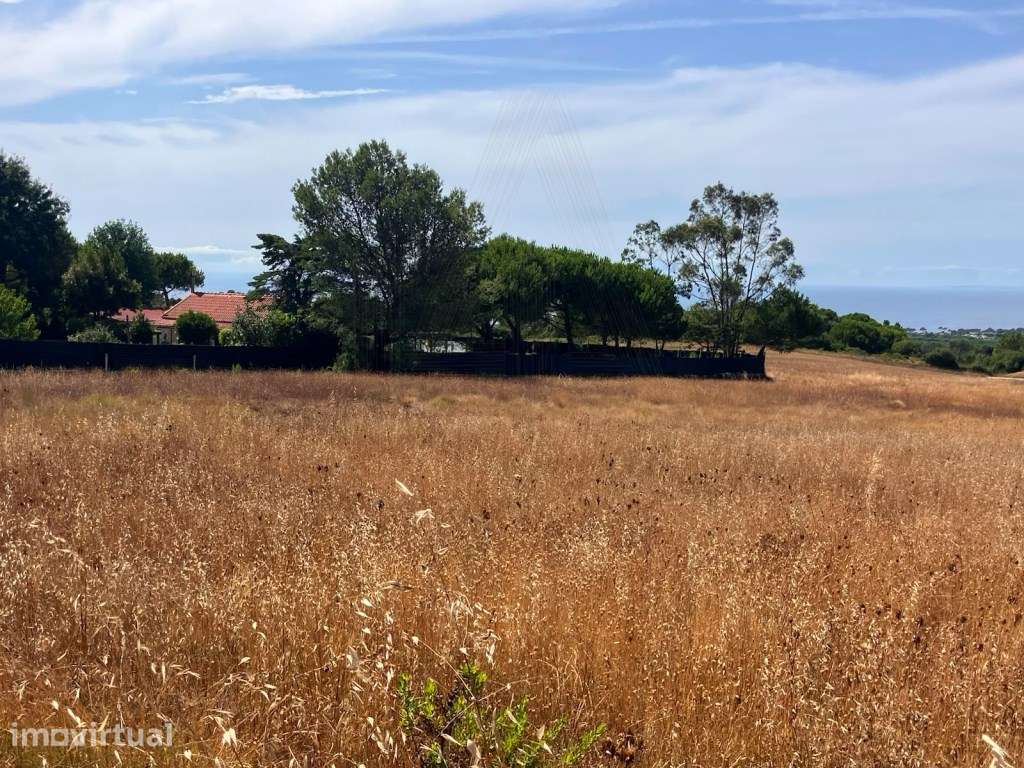 Terreno com Vista Mar | Azoia | Construção de Moradia - Grande imagem: 3/9