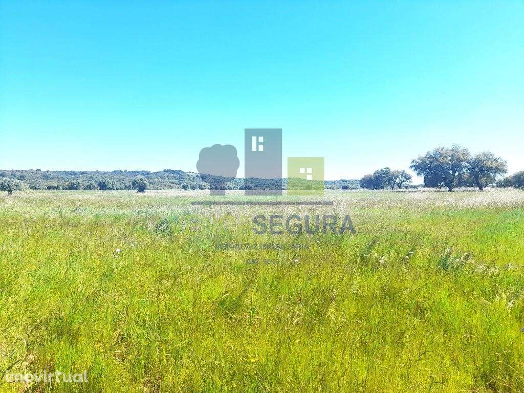 Terreno rústico | V.N.Baronia - Grande imagem: 3/7