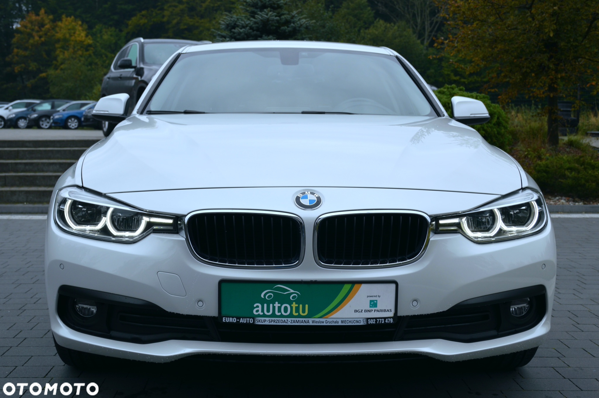 BMW Seria 3 316d Sport Line - 40