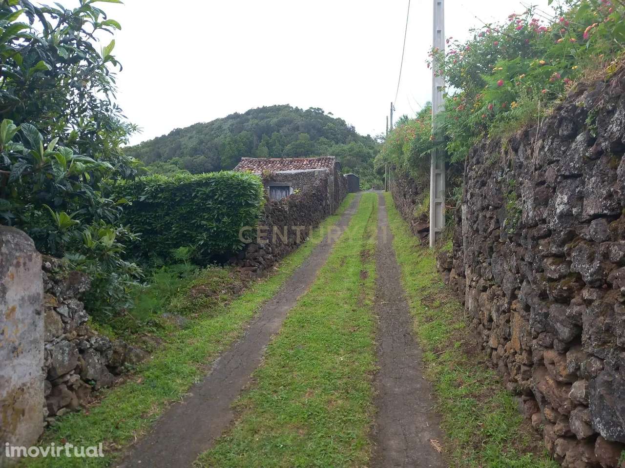Terreno Cinzeiro  Caloura - Grande imagem: 5/14