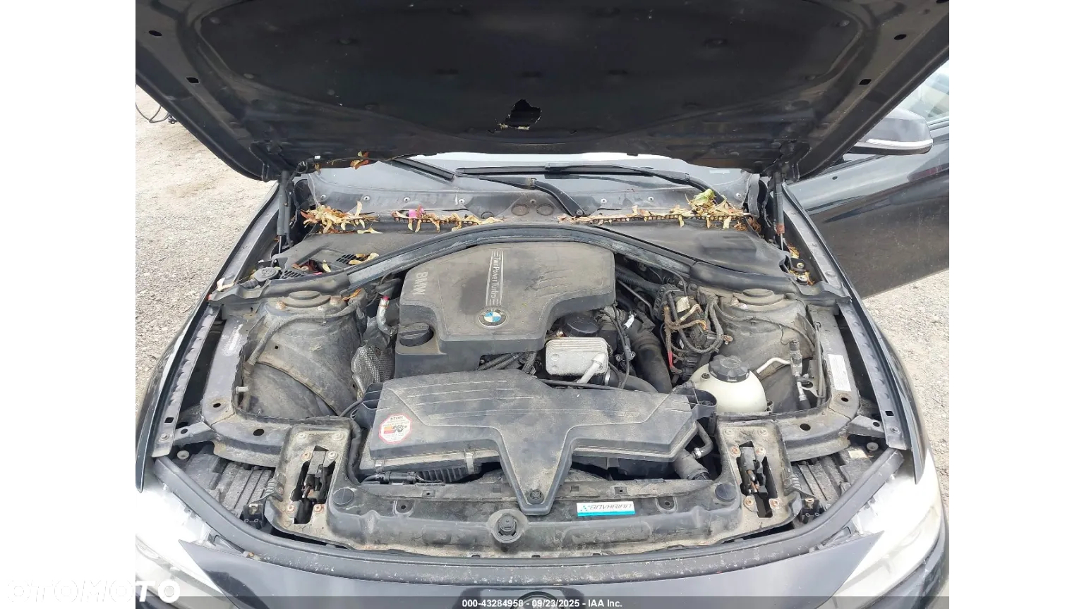 BMW Seria 3 - 11
