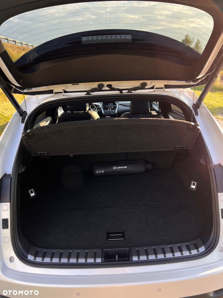 Lexus NX 300h F Sport Edition AWD - 10
