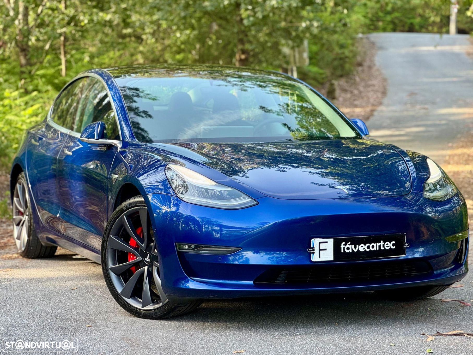 Tesla Model 3 Performance Dual Motor AWD - 12