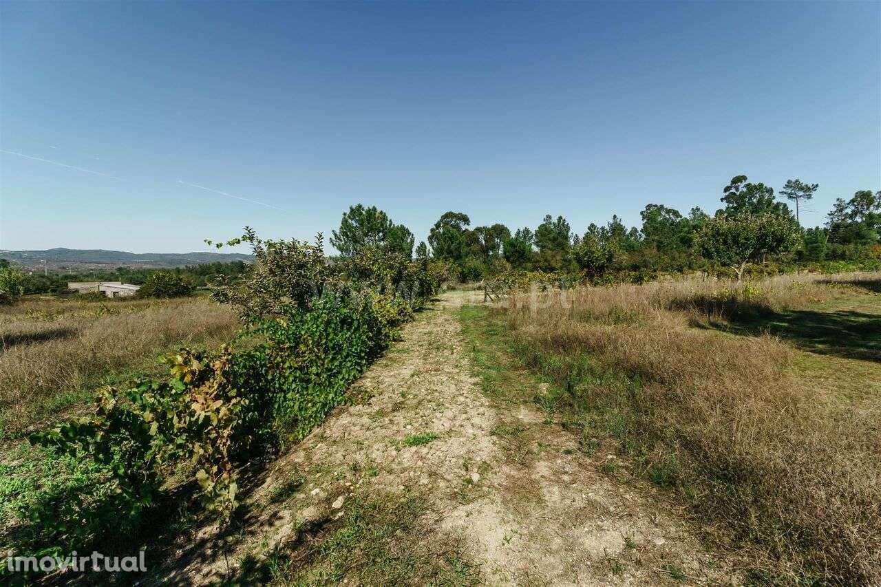 Quintinha / Gouveia, Ribamondego - Grande imagem: 3/12