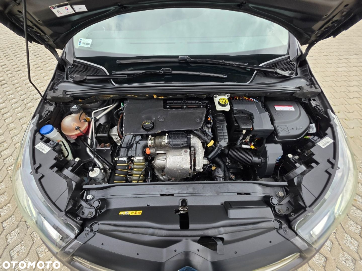 Citroën C4 - 25