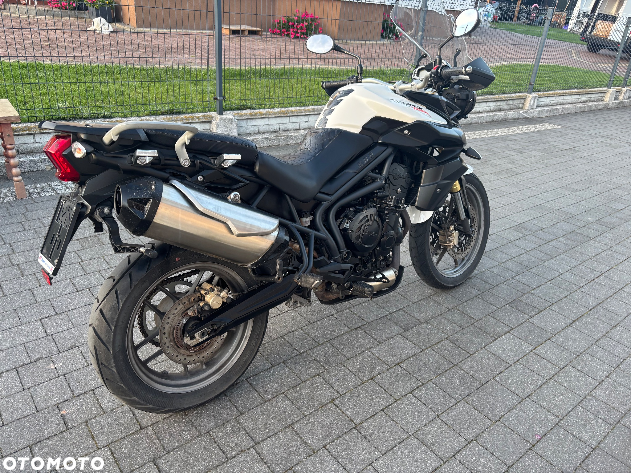 Triumph Tiger - 27