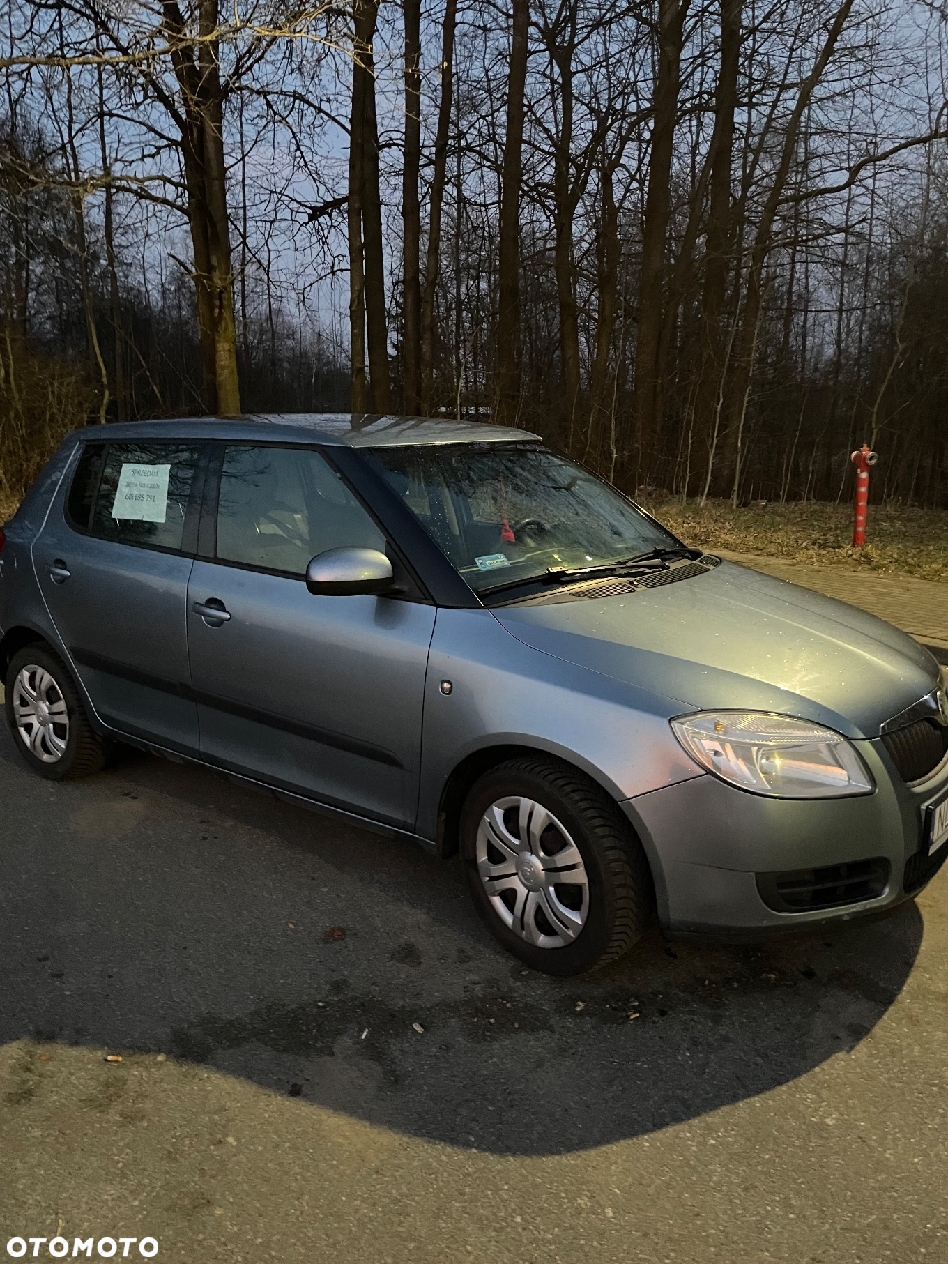 Skoda Fabia - 5