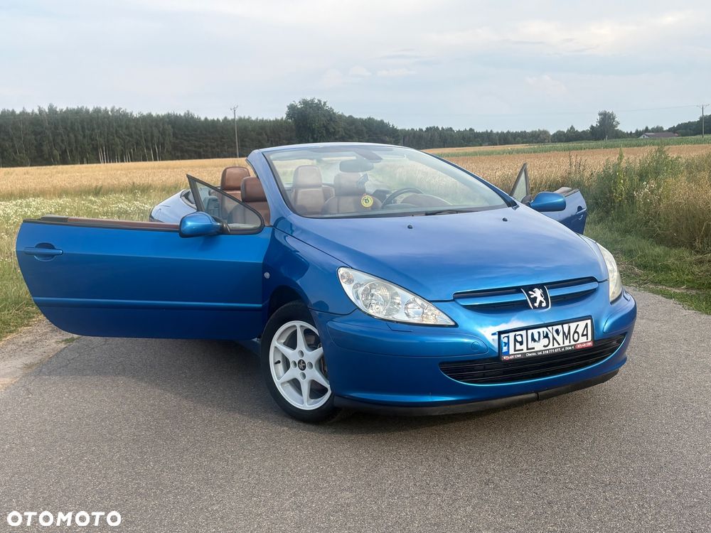 Peugeot 307 CC 2.0 - 10