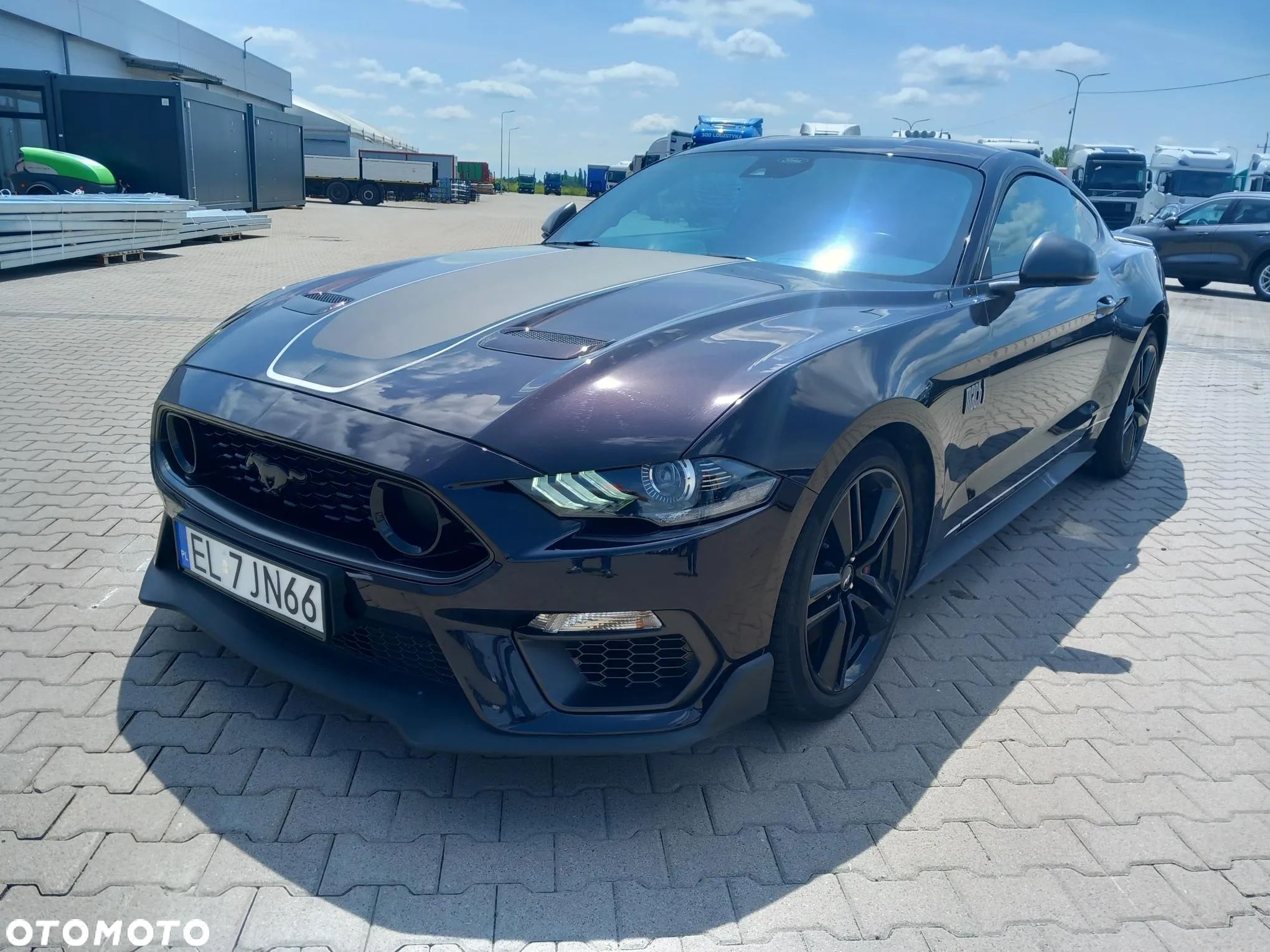 Ford Mustang 5.0 V8 Mach 1 - 1
