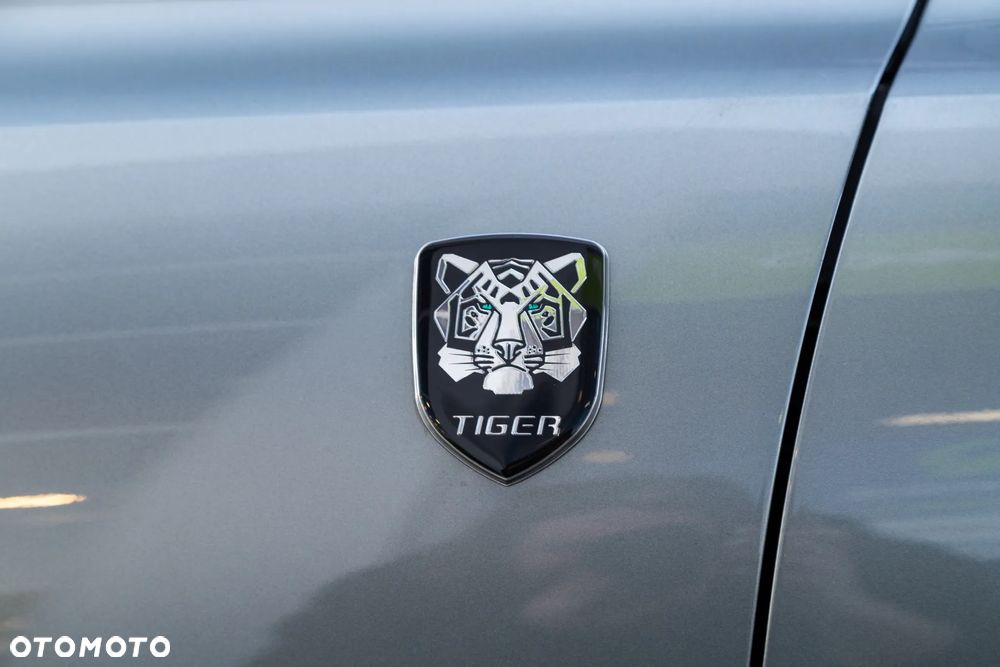 DR MOTOR TIGER SIX - 11