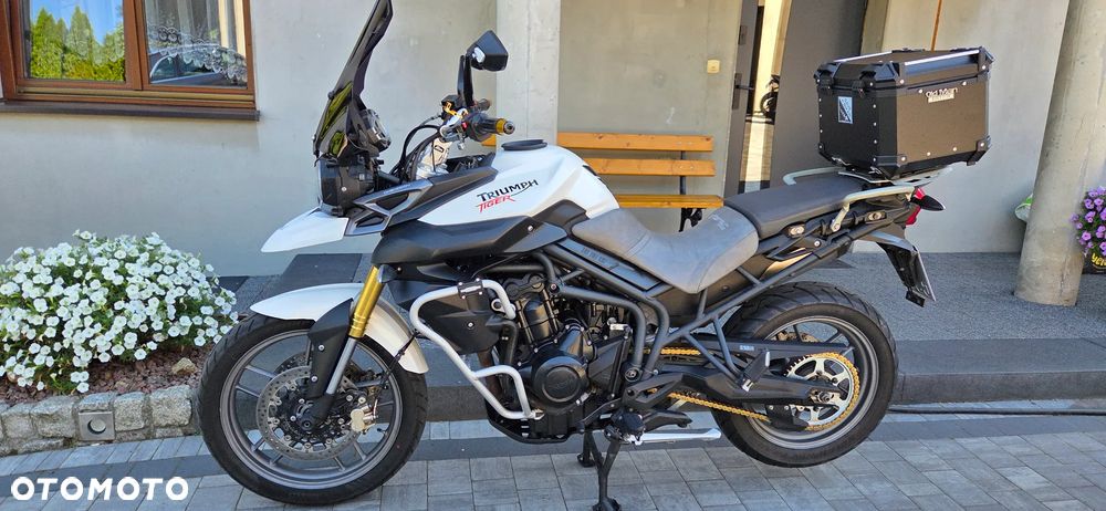 Triumph Tiger - 10