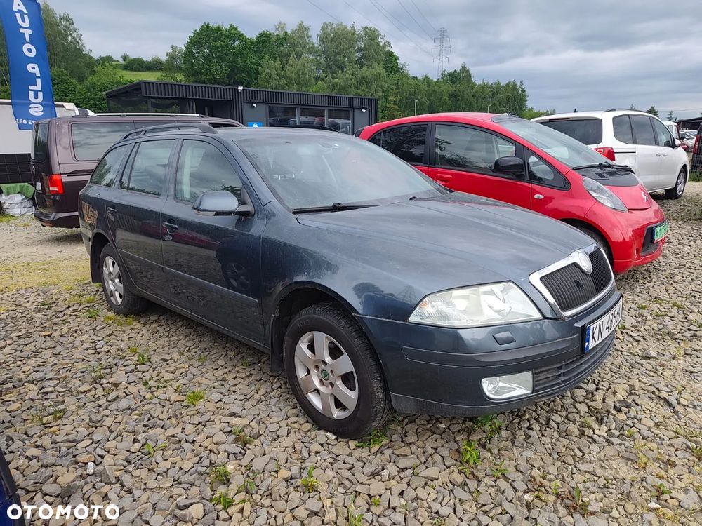 Skoda Octavia 1.9 TDI 4x4 - 1