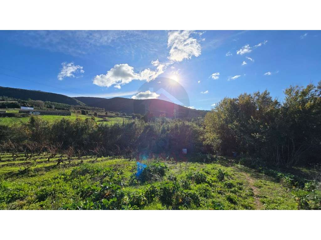 Terreno com 2.200 m², localizado em Pragança, no concelho do Cadaval - Grande imagem: 4/15