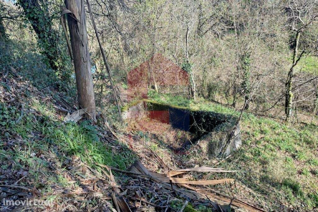 Terreno Agrícola / Florestal, Pico - Grande imagem: 2/29