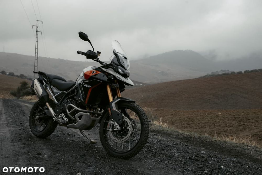 Triumph Tiger - 1
