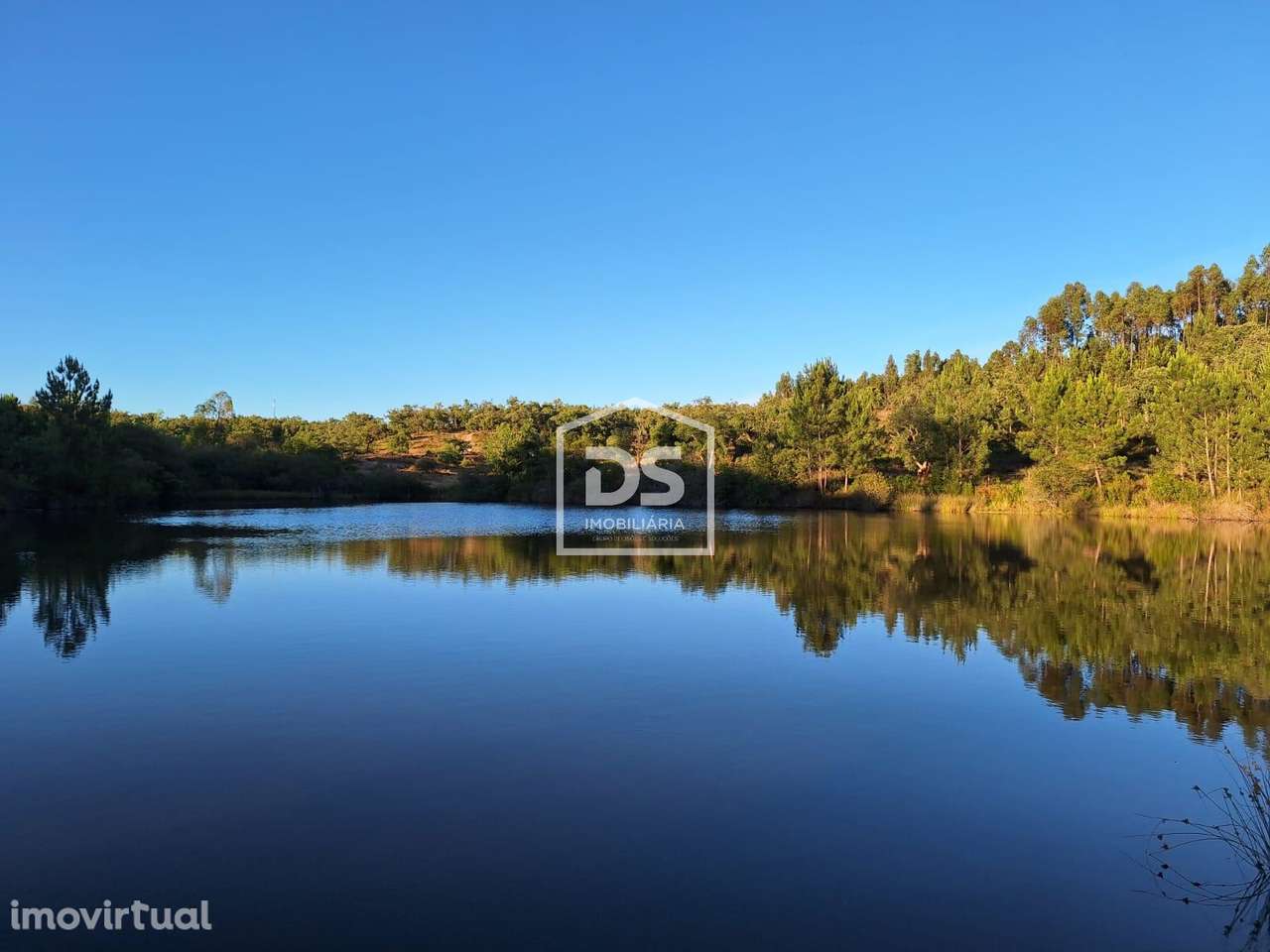 Herdade  Venda em Raposa,Almeirim - Grande imagem: 5/27