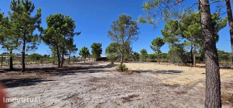 Terreno em MELIDES  1300m2 - Grande imagem: 4/4