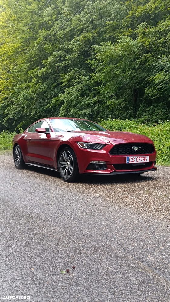 Ford Mustang 2.3 EcoBoost Aut. - 4