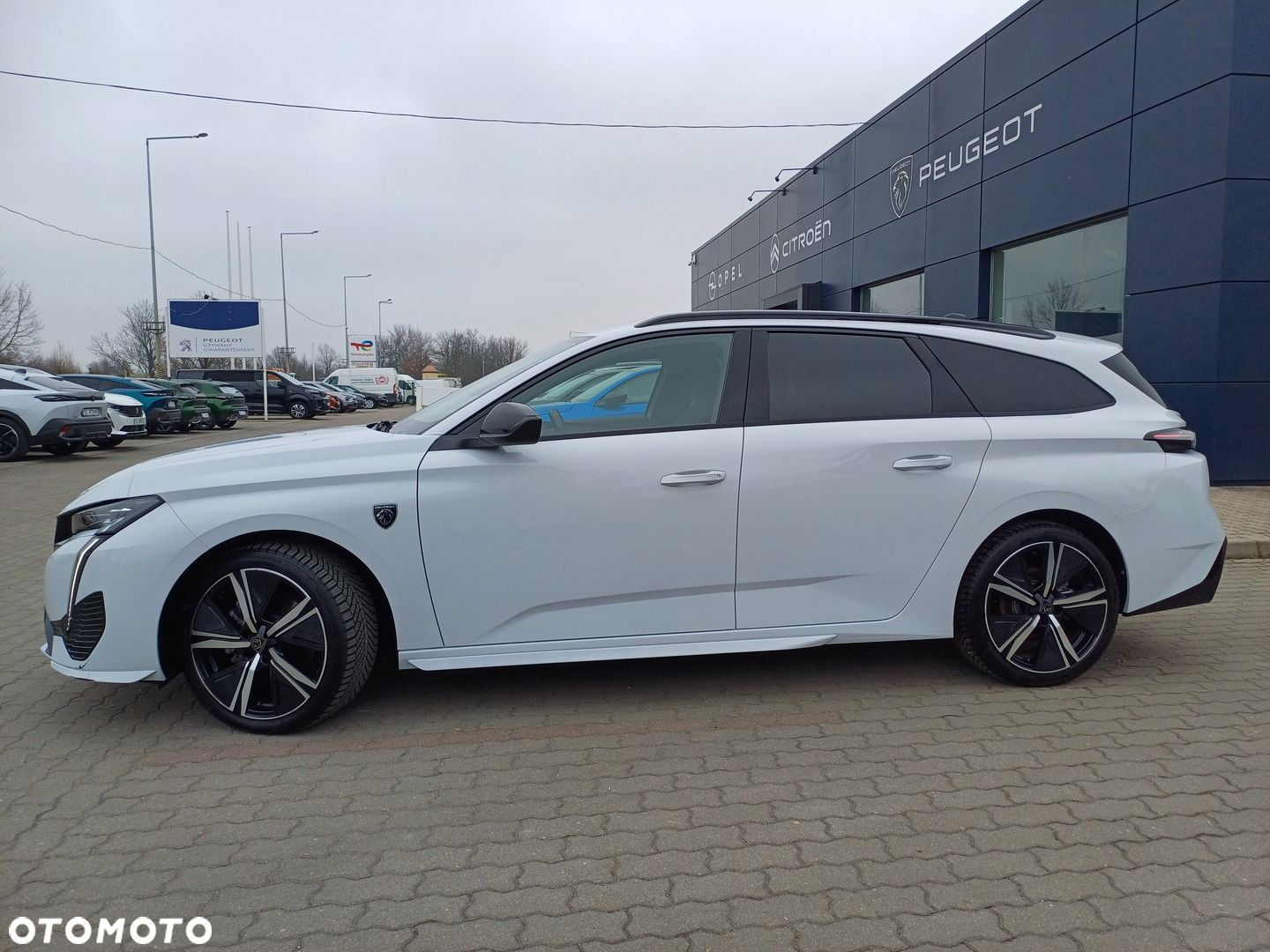 Peugeot 308 - 8
