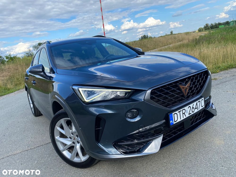 Cupra Formentor 2.0 TDI 4Drive DSG - 30