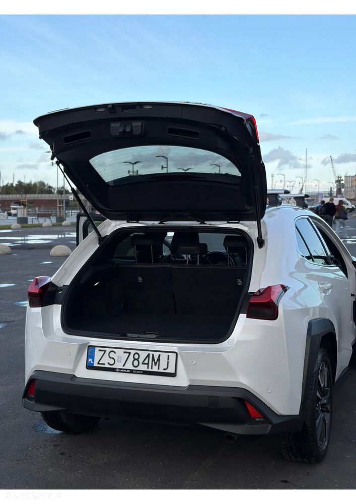 Lexus UX - 7