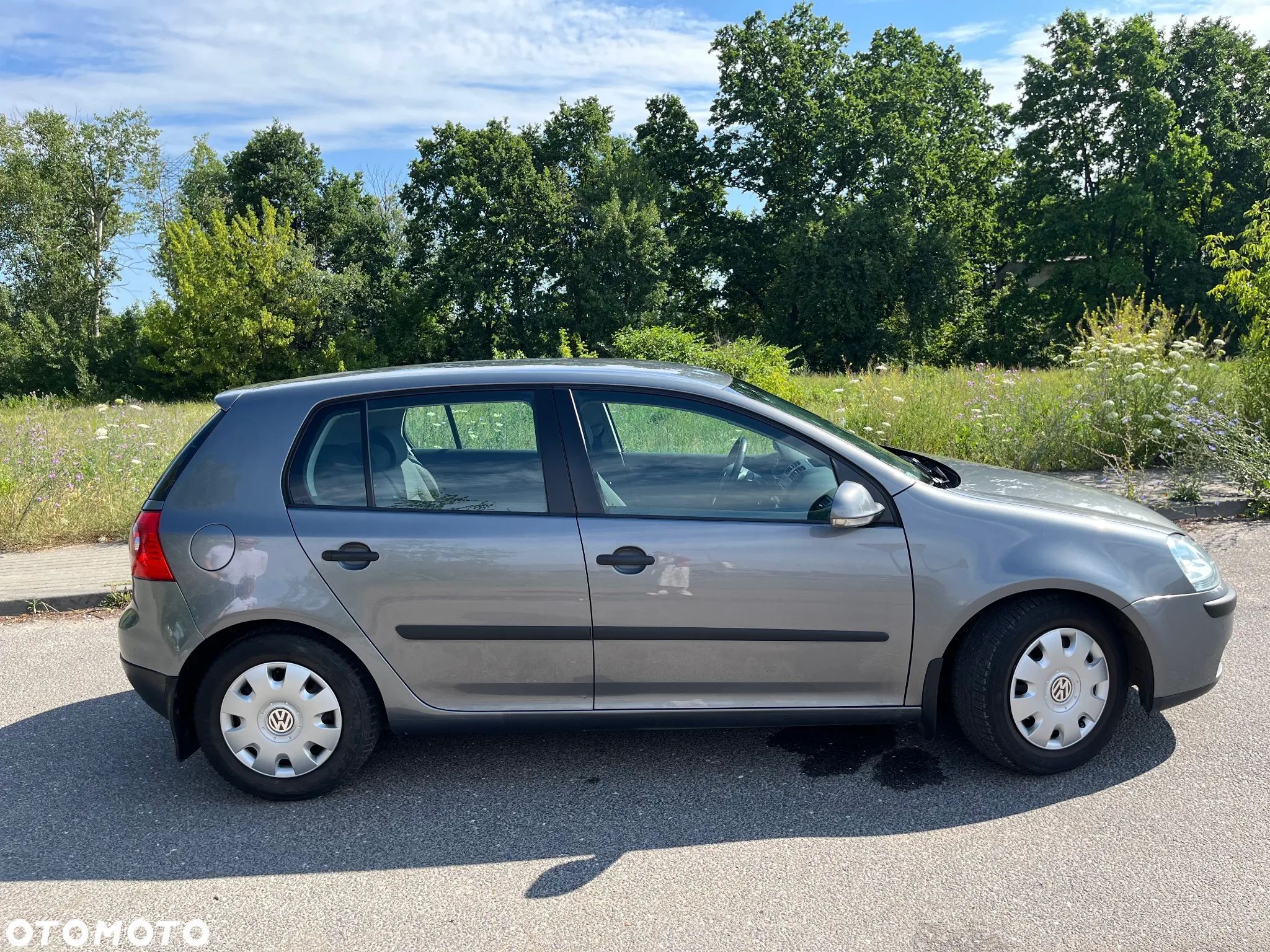 Volkswagen Golf V 1.9 TDI Trendline - 1