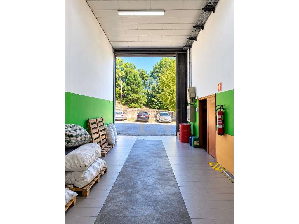 Pavilhão Industrial com 900 m² | Junto à VIM | Oliveira Santa Maria - Grande imagem: 3/7