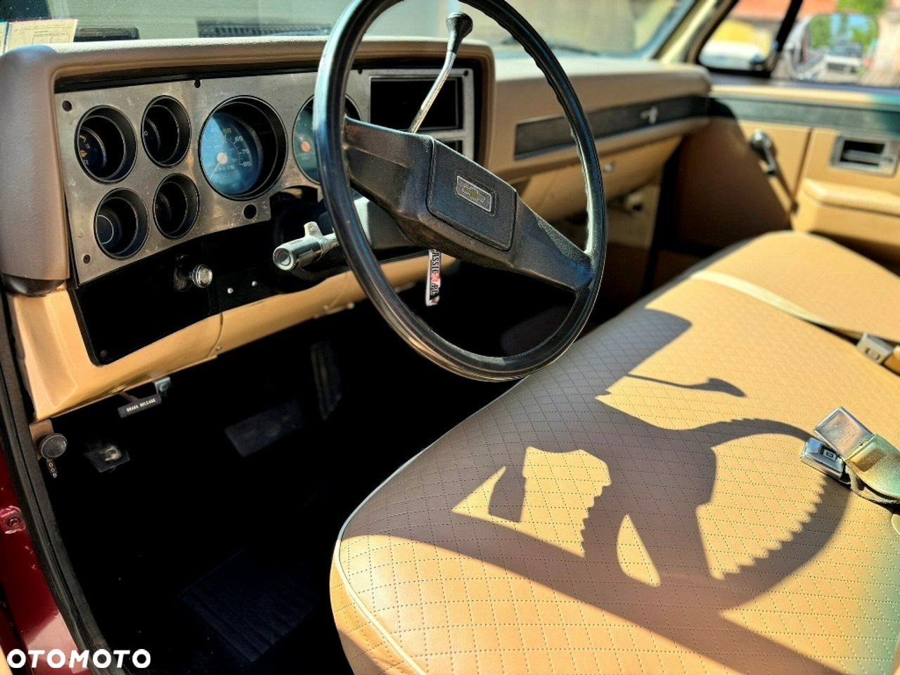 Chevrolet C-20 - 10