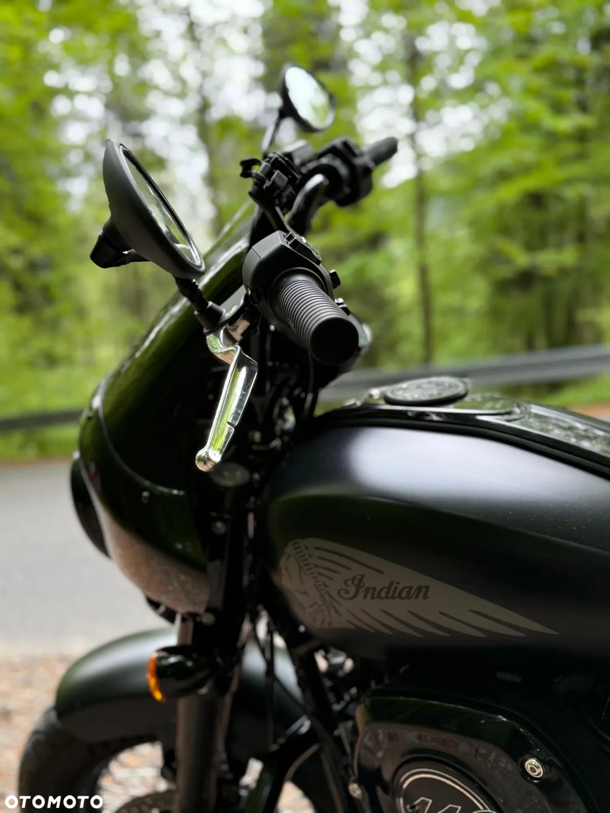 Indian Chief - 10