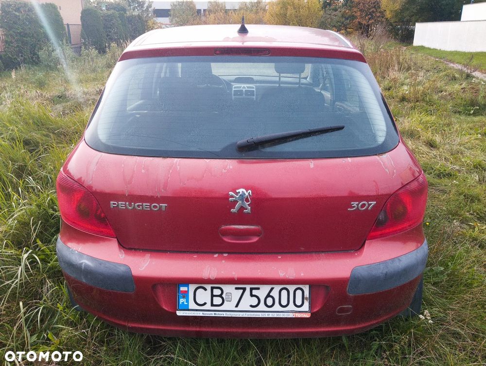Peugeot 307 1.4 Mistral - 8