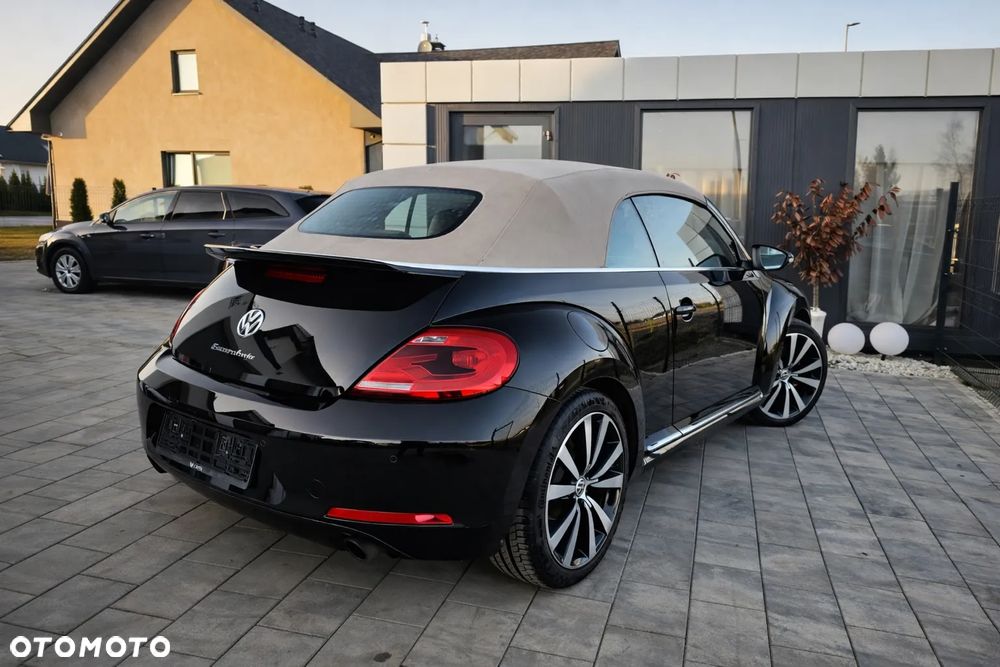 Volkswagen Beetle - 18