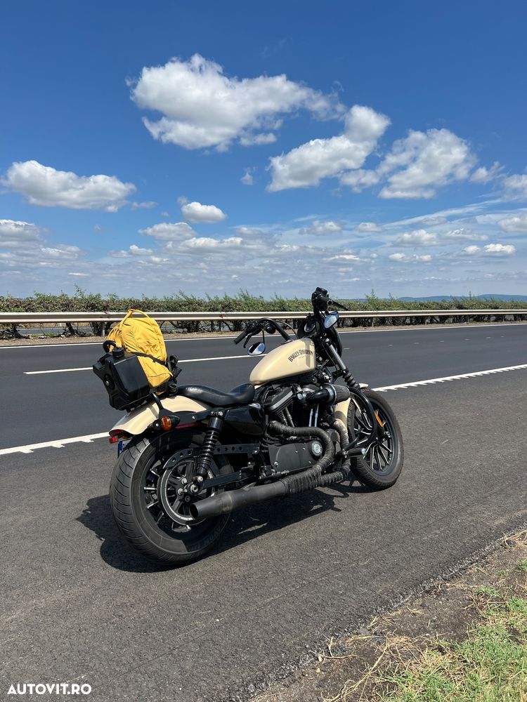 Harley-Davidson XL 883N Iron - 14