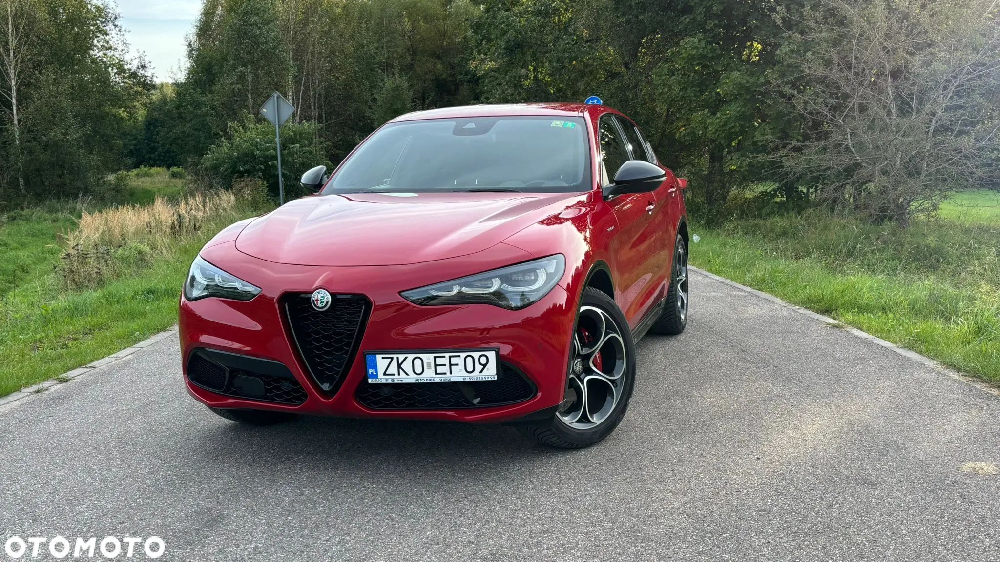Alfa Romeo Stelvio - 1