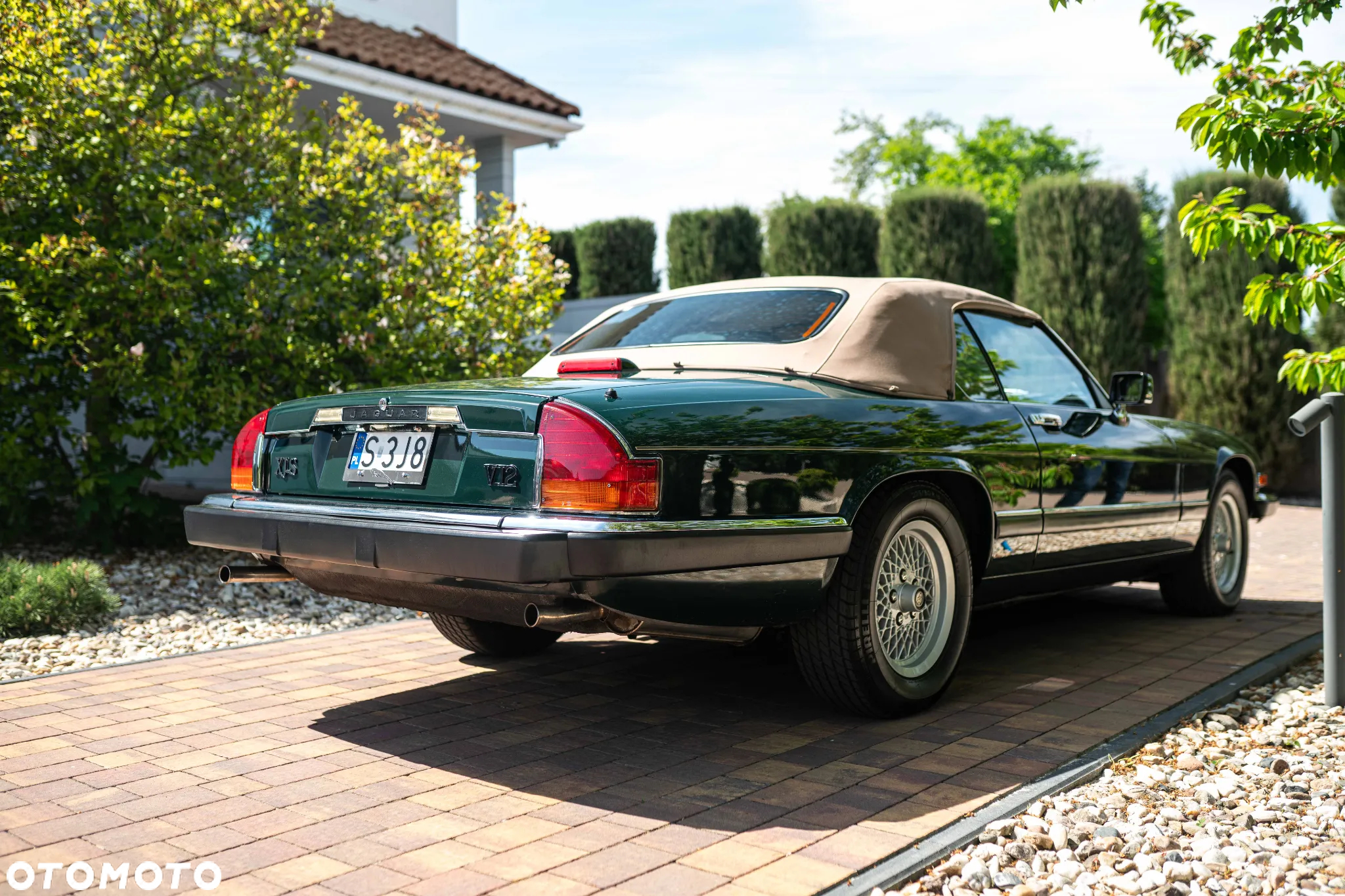 Jaguar XJS - 13