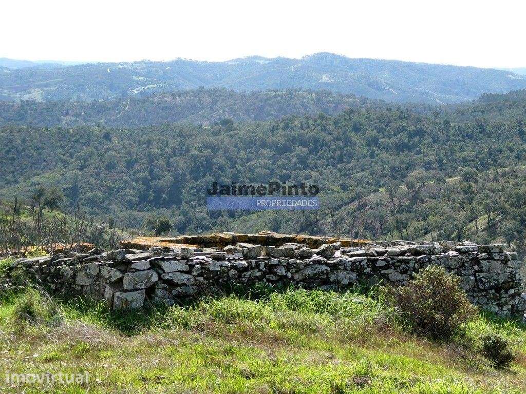 205ha com casa e CORTIÇA, na Serra do Caldeirão. Portugal, Beja, Al... - Grande imagem: 3/7