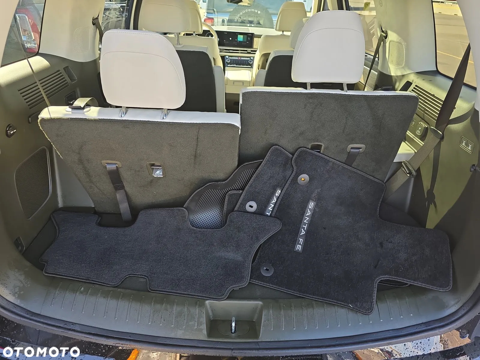 Hyundai Santa Fe - 17