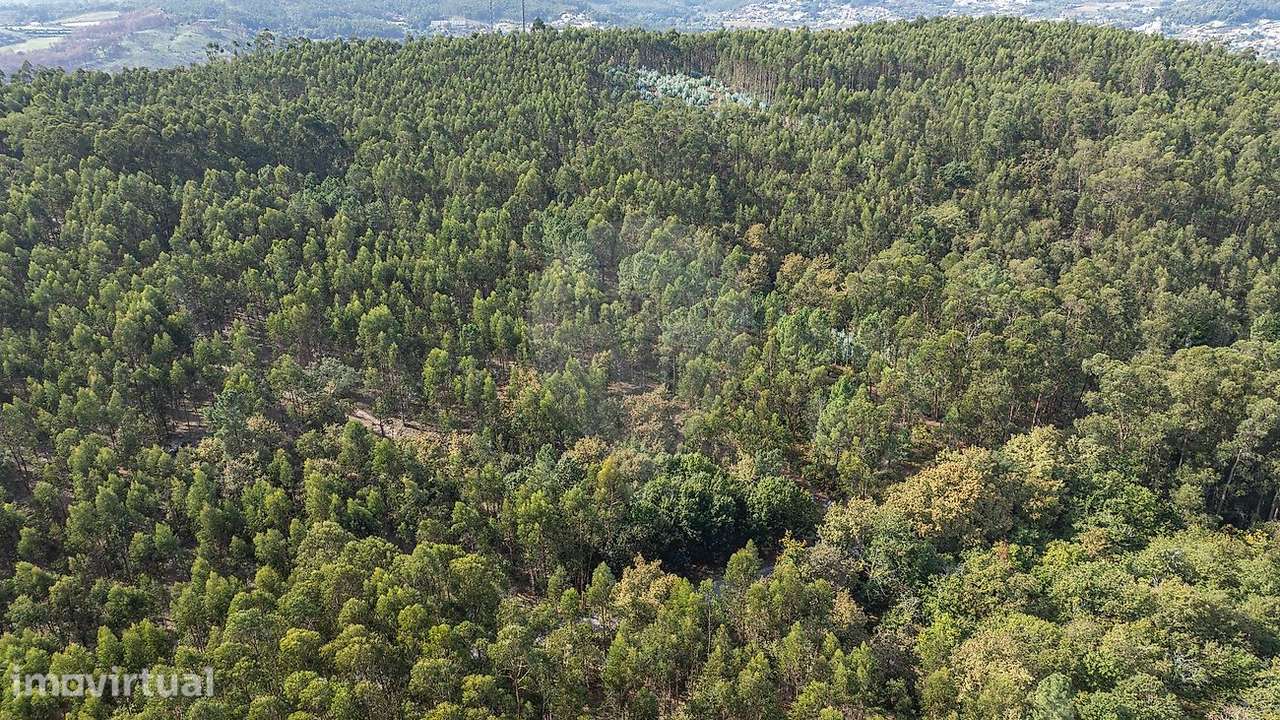 Terreno  para venda - Grande imagem: 5/16
